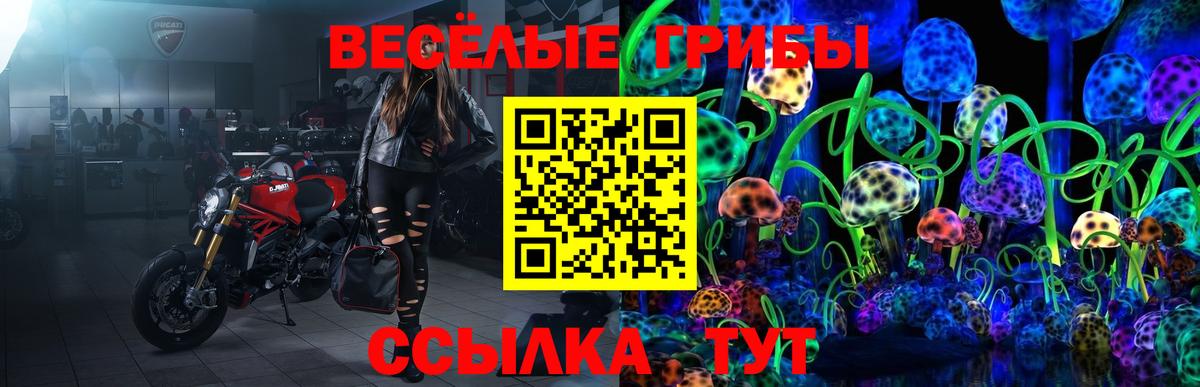 Новошахтинск  Псилоцибиновые грибы мухоморы  где продают наркотики  Вход с VPN  Галлюциногенные грибы Psilocybine cubensis 